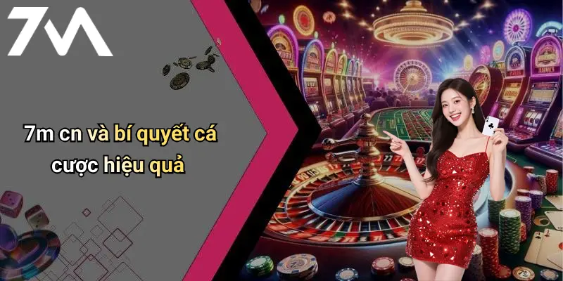 7m cn và bí quyết cá cược hiệu quả