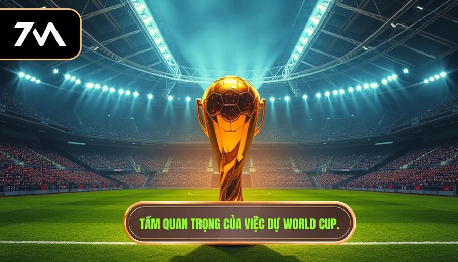 3. Tầm quan trọng của việc dự World Cup.